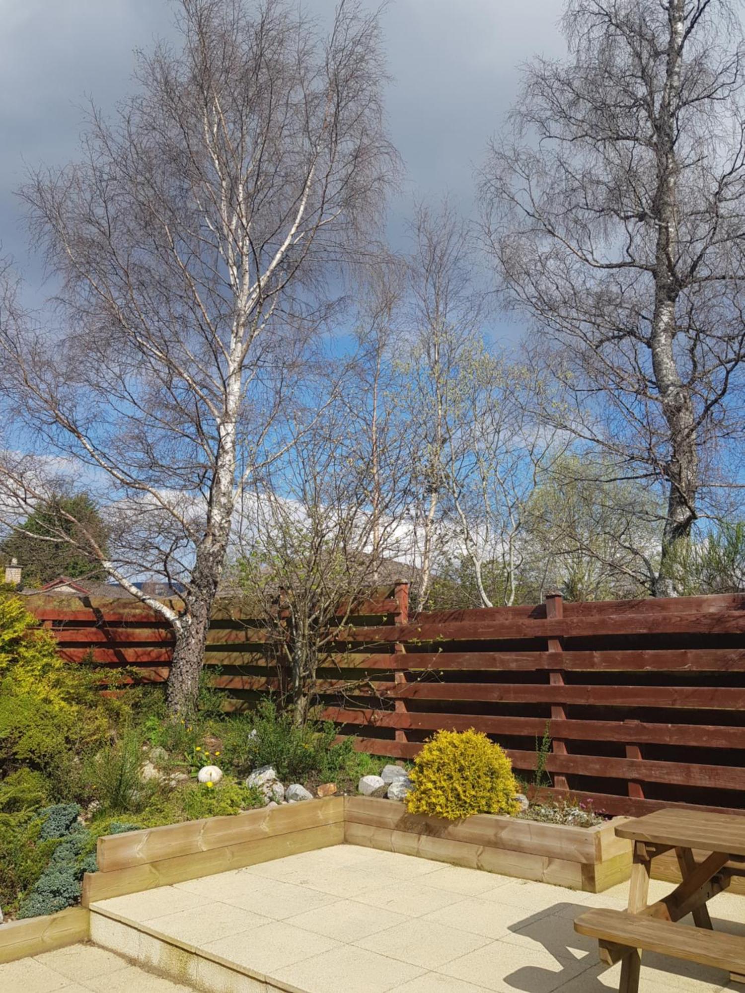 Orange Squirrel Lodge Aviemore Exterior photo